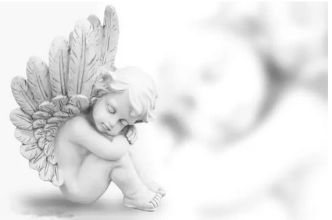 茄子免费视频茄子视频下载安装·让天使的纯白降临人间